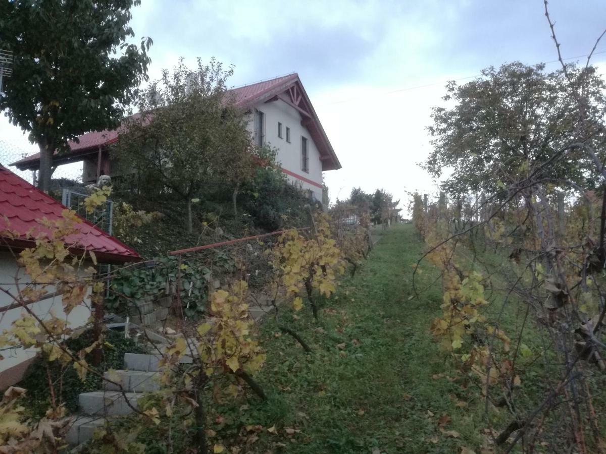 Penzion Nad Jezerem Pavlov Zewnętrze zdjęcie